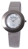 Skagen 569STW Technische Daten, Skagen 569STW Daten, Skagen 569STW Funktionen, Skagen 569STW Bewertung, Skagen 569STW kaufen, Skagen 569STW Preis, Skagen 569STW Armbanduhren