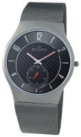 Skagen 805XLTTM Technische Daten, Skagen 805XLTTM Daten, Skagen 805XLTTM Funktionen, Skagen 805XLTTM Bewertung, Skagen 805XLTTM kaufen, Skagen 805XLTTM Preis, Skagen 805XLTTM Armbanduhren