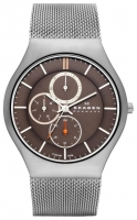 Skagen SKW6036 Technische Daten, Skagen SKW6036 Daten, Skagen SKW6036 Funktionen, Skagen SKW6036 Bewertung, Skagen SKW6036 kaufen, Skagen SKW6036 Preis, Skagen SKW6036 Armbanduhren