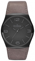 Skagen SKW6041 Technische Daten, Skagen SKW6041 Daten, Skagen SKW6041 Funktionen, Skagen SKW6041 Bewertung, Skagen SKW6041 kaufen, Skagen SKW6041 Preis, Skagen SKW6041 Armbanduhren