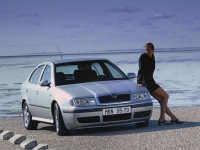 Skoda Octavia Liftback (1 generation) 1.9 TDI AT (90 HP) foto, Skoda Octavia Liftback (1 generation) 1.9 TDI AT (90 HP) fotos, Skoda Octavia Liftback (1 generation) 1.9 TDI AT (90 HP) Bilder, Skoda Octavia Liftback (1 generation) 1.9 TDI AT (90 HP) Bild