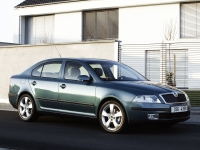 Skoda Octavia Liftback 5-door (2 generation) 1.4 MT (75 HP) foto, Skoda Octavia Liftback 5-door (2 generation) 1.4 MT (75 HP) fotos, Skoda Octavia Liftback 5-door (2 generation) 1.4 MT (75 HP) Bilder, Skoda Octavia Liftback 5-door (2 generation) 1.4 MT (75 HP) Bild