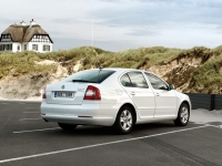 Skoda Octavia Liftback 5-door (2 generation) 1.4 TSI presented at Greentech MT (122 HP) foto, Skoda Octavia Liftback 5-door (2 generation) 1.4 TSI presented at Greentech MT (122 HP) fotos, Skoda Octavia Liftback 5-door (2 generation) 1.4 TSI presented at Greentech MT (122 HP) Bilder, Skoda Octavia Liftback 5-door (2 generation) 1.4 TSI presented at Greentech MT (122 HP) Bild