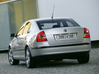 Skoda Octavia Liftback 5-door (2 generation) 1.9 TDI DSG (105 HP) foto, Skoda Octavia Liftback 5-door (2 generation) 1.9 TDI DSG (105 HP) fotos, Skoda Octavia Liftback 5-door (2 generation) 1.9 TDI DSG (105 HP) Bilder, Skoda Octavia Liftback 5-door (2 generation) 1.9 TDI DSG (105 HP) Bild