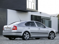 Skoda Octavia Liftback 5-door (2 generation) 1.9 TDI DSG (105 HP) foto, Skoda Octavia Liftback 5-door (2 generation) 1.9 TDI DSG (105 HP) fotos, Skoda Octavia Liftback 5-door (2 generation) 1.9 TDI DSG (105 HP) Bilder, Skoda Octavia Liftback 5-door (2 generation) 1.9 TDI DSG (105 HP) Bild