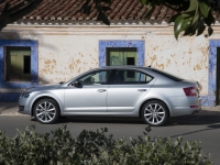 Skoda Octavia Liftback 5-door (3 generation) 1.2 TSI DSG (105hp) Ambition foto, Skoda Octavia Liftback 5-door (3 generation) 1.2 TSI DSG (105hp) Ambition fotos, Skoda Octavia Liftback 5-door (3 generation) 1.2 TSI DSG (105hp) Ambition Bilder, Skoda Octavia Liftback 5-door (3 generation) 1.2 TSI DSG (105hp) Ambition Bild