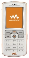 Sony Ericsson W800i Technische Daten, Sony Ericsson W800i Daten, Sony Ericsson W800i Funktionen, Sony Ericsson W800i Bewertung, Sony Ericsson W800i kaufen, Sony Ericsson W800i Preis, Sony Ericsson W800i Handys