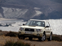 Subaru Forester Crossover (2 generation) 2.0 AWD AT foto, Subaru Forester Crossover (2 generation) 2.0 AWD AT fotos, Subaru Forester Crossover (2 generation) 2.0 AWD AT Bilder, Subaru Forester Crossover (2 generation) 2.0 AWD AT Bild