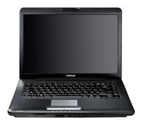 Toshiba SATELLITE A300-1T2 (Pentium Dual-Core T3400 2160 Mhz/15.4