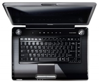 Toshiba SATELLITE A350-214 (Core 2 Duo P8700 2530 Mhz/16.0