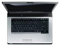 Toshiba SATELLITE L300-17L (Pentium Dual-Core T2390 1860 Mhz/15.4