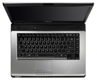 Toshiba SATELLITE PRO L300-1BA (Pentium Dual-Core T3200 2000 Mhz/15.4