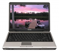 Toshiba SATELLITE PRO M300-EZ1001X (Core 2 Duo T8100 2100 Mhz/14.1