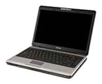 Toshiba SATELLITE PRO M300-S1002X (Core 2 Duo T8300 2400 Mhz/14.1