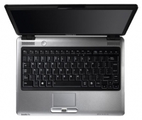 Toshiba SATELLITE PRO U400-14L (Core 2 Duo P8600 2400 Mhz/13.3