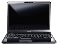 Toshiba SATELLITE U400-12R (Pentium Dual-Core T2390 1860 Mhz/13.3