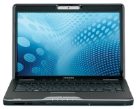 Toshiba SATELLITE U505-S2965 (Core 2 Duo T6600 2200 Mhz/13.3