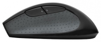 Trust ComfortLine Wireless Mini Mouse Black USB foto, Trust ComfortLine Wireless Mini Mouse Black USB fotos, Trust ComfortLine Wireless Mini Mouse Black USB Bilder, Trust ComfortLine Wireless Mini Mouse Black USB Bild