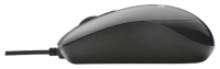 Trust Evano Compact Mouse Black USB foto, Trust Evano Compact Mouse Black USB fotos, Trust Evano Compact Mouse Black USB Bilder, Trust Evano Compact Mouse Black USB Bild