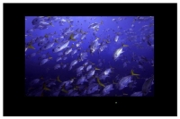 WaterProof HDTV 10" foto, WaterProof HDTV 10" fotos, WaterProof HDTV 10" Bilder, WaterProof HDTV 10" Bild