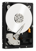 Western Digital WD1003FZEX Technische Daten, Western Digital WD1003FZEX Daten, Western Digital WD1003FZEX Funktionen, Western Digital WD1003FZEX Bewertung, Western Digital WD1003FZEX kaufen, Western Digital WD1003FZEX Preis, Western Digital WD1003FZEX Festplatten und Netzlaufwerke