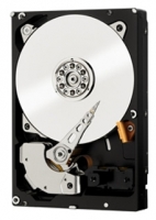 Western Digital WD1003FZEX Technische Daten, Western Digital WD1003FZEX Daten, Western Digital WD1003FZEX Funktionen, Western Digital WD1003FZEX Bewertung, Western Digital WD1003FZEX kaufen, Western Digital WD1003FZEX Preis, Western Digital WD1003FZEX Festplatten und Netzlaufwerke