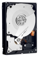 Western Digital WD2000FYYG Technische Daten, Western Digital WD2000FYYG Daten, Western Digital WD2000FYYG Funktionen, Western Digital WD2000FYYG Bewertung, Western Digital WD2000FYYG kaufen, Western Digital WD2000FYYG Preis, Western Digital WD2000FYYG Festplatten und Netzlaufwerke