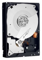 Western Digital WD5003ABYX Technische Daten, Western Digital WD5003ABYX Daten, Western Digital WD5003ABYX Funktionen, Western Digital WD5003ABYX Bewertung, Western Digital WD5003ABYX kaufen, Western Digital WD5003ABYX Preis, Western Digital WD5003ABYX Festplatten und Netzlaufwerke