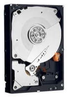 Western Digital WD6402AAEX Technische Daten, Western Digital WD6402AAEX Daten, Western Digital WD6402AAEX Funktionen, Western Digital WD6402AAEX Bewertung, Western Digital WD6402AAEX kaufen, Western Digital WD6402AAEX Preis, Western Digital WD6402AAEX Festplatten und Netzlaufwerke