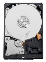 Western Digital WD7500AVDS Technische Daten, Western Digital WD7500AVDS Daten, Western Digital WD7500AVDS Funktionen, Western Digital WD7500AVDS Bewertung, Western Digital WD7500AVDS kaufen, Western Digital WD7500AVDS Preis, Western Digital WD7500AVDS Festplatten und Netzlaufwerke