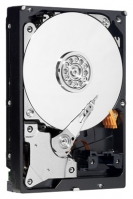 Western Digital WD8088AADS Technische Daten, Western Digital WD8088AADS Daten, Western Digital WD8088AADS Funktionen, Western Digital WD8088AADS Bewertung, Western Digital WD8088AADS kaufen, Western Digital WD8088AADS Preis, Western Digital WD8088AADS Festplatten und Netzlaufwerke